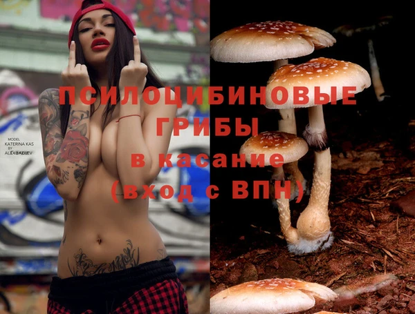 2c-b Абинск