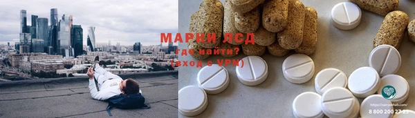стаф Осташков