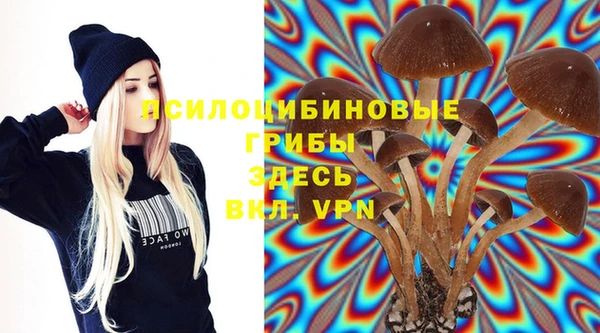 Альфа ПВП Алексин